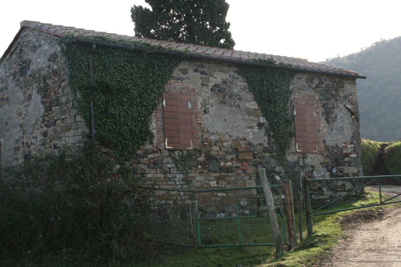 Farmhouse Tuscany Montecastelli Pisano Zewnętrze zdjęcie