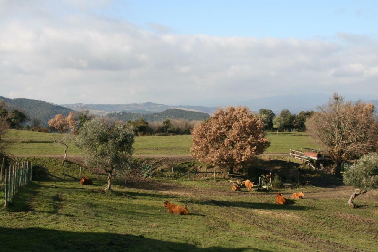 Farmhouse Tuscany Montecastelli Pisano Zewnętrze zdjęcie