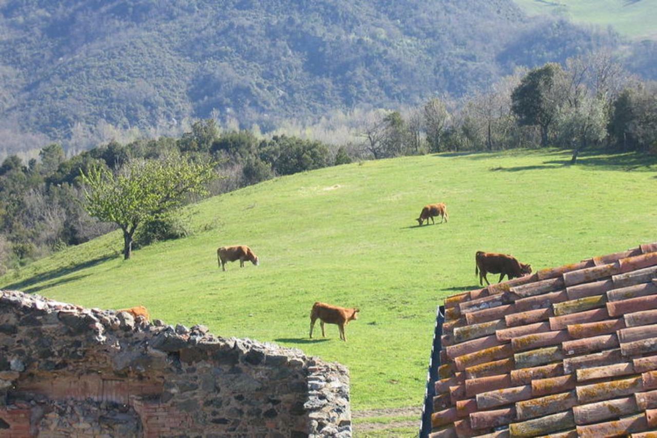 Farmhouse Tuscany Montecastelli Pisano Zewnętrze zdjęcie